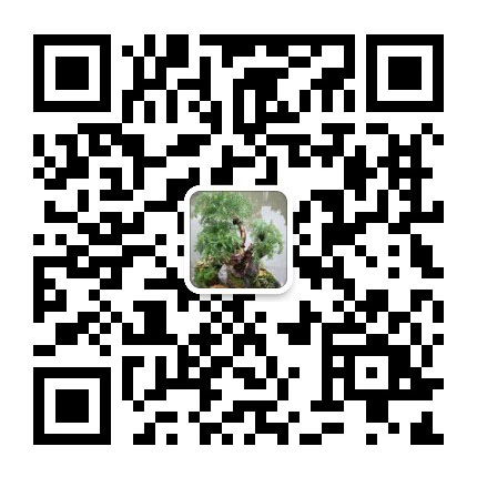 請(qǐng)使用微信掃一掃